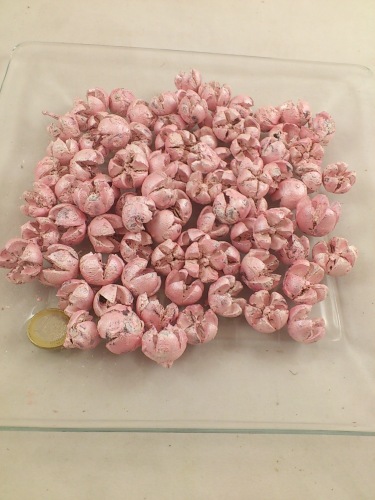 Chiloni 150 gr. Perle Rose